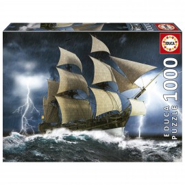1000 TEMPÊTE PARFAITE