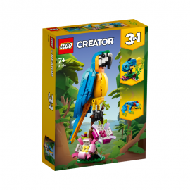 LE PERROQUET EXOTIQUE