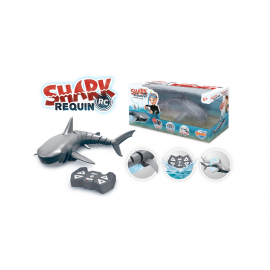 REQUIN R/C