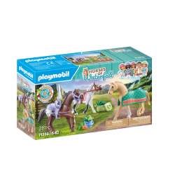 3 CHEVAUX MORGAN, QUARTER...